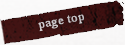 page top
