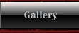 ギャラリー